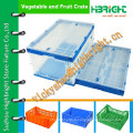 Boîte en caisse / caisse en plastique pliable pliable en structure solide en vente